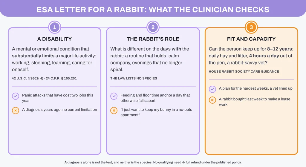 ESA letter for a rabbit: the three things a licensed clinician checks, with a qualifies / does-not-qualify example for each