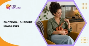 Emotional support snake: a woman in a sage-green linen shirt smiles at an orange corn snake coiled calmly in her lap, a closed glass terrarium behind her