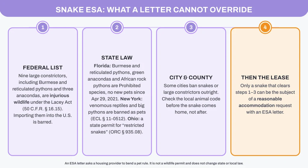 Snake ESA legal check: the federal injurious-wildlife list, state laws in Florida, New York and Ohio, and city codes come before any housing request
