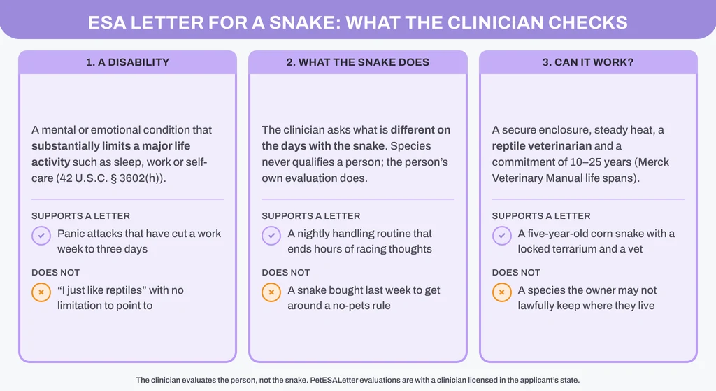 ESA letter for a snake: the three things a licensed clinician checks, with a supports / does-not-support example for each