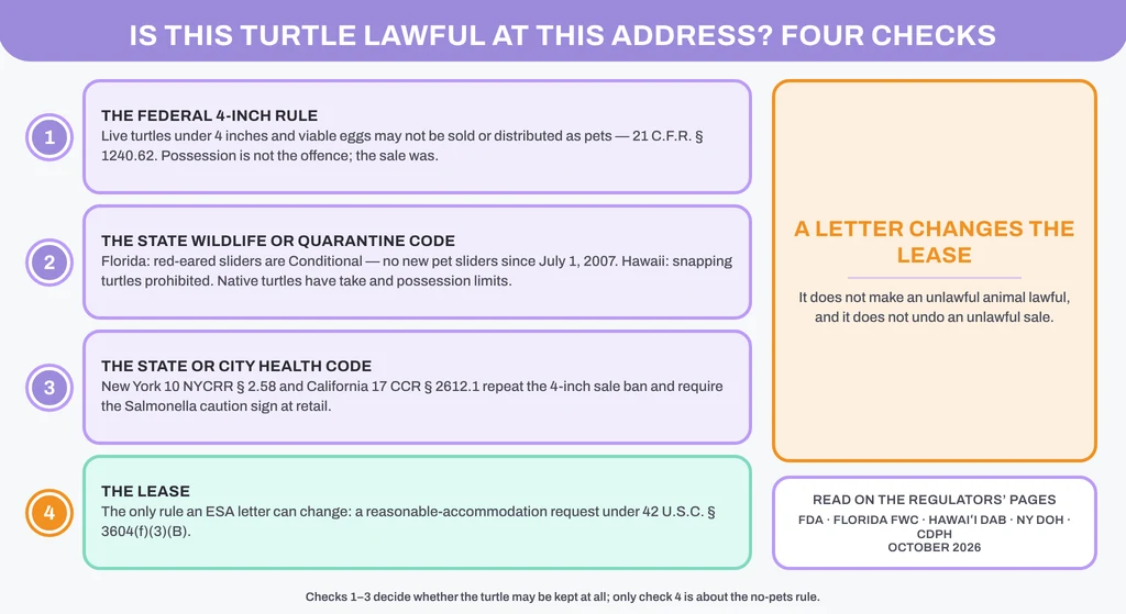 Is this turtle lawful at this address? Four checks in order: the federal 4-inch sale rule (21 C.F.R. § 1240.62), the state wildlife or quarantine code (Florida: no new pet red-eared sliders; Hawaii: snapping turtles prohibited), the state or city health code (New York and California repeat the 4-inch ban) and only then the lease, the one rule an ESA letter can change