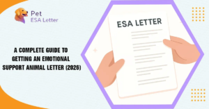 A-Complete-Guide-to-Getting