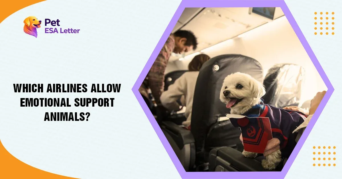Which-Airlines-Allow-Emotional