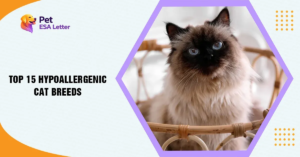 TOP-15-HYPOALLERGENIC