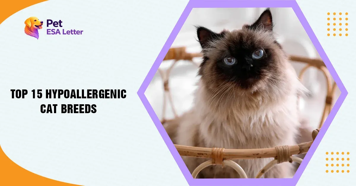 TOP-15-HYPOALLERGENIC